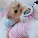Bag Cat, платье на подтяжках Little Fragrance Barbie Pet, мальтийская весенняя одежда, жилет из йоркширского бишона
