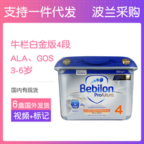 Poland greedy cat bebilon Babilon Dutch Bullpen Platinum edition milk powder 4 segments 800G canned 6 cans spot