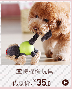 Ngoài trời đàn hồi bóng đồ chơi chó mèo đồ chơi tương tác đồ dùng cho mèo