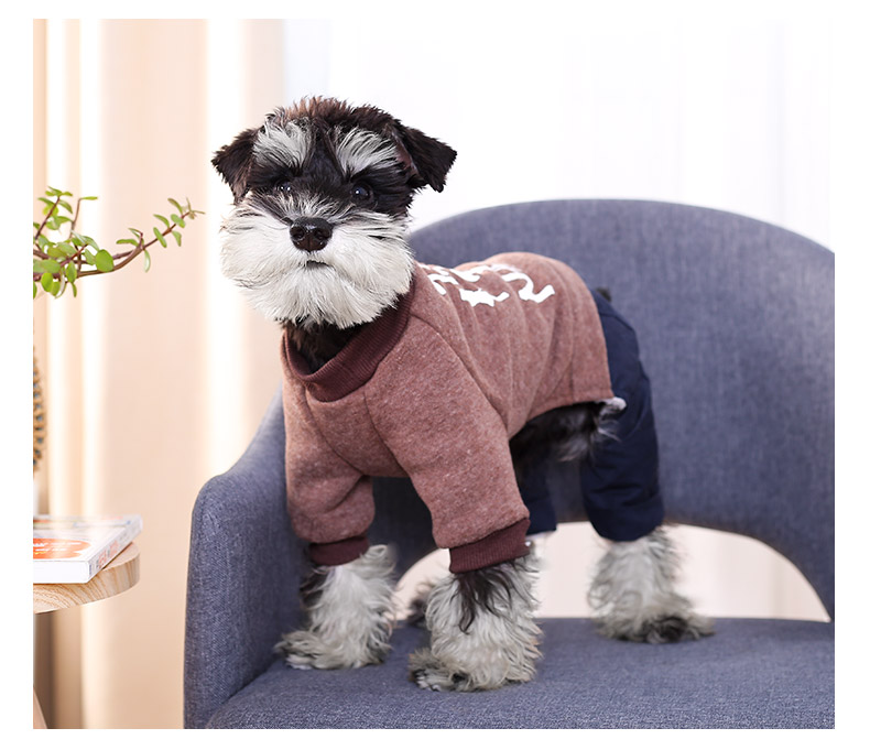 Quần áo chó dày quần áo mùa thu và mùa đông schnauzer taidibi gấu chihuahua Bomei chó con chó nhỏ quần áo thú cưng - Quần áo & phụ kiện thú cưng quan ao cho meo