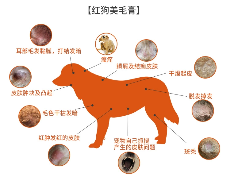 Red dog peptide canxi cream Red dog fish dầu làm đẹp tóc kết hợp kem chó và mèo nói chung chăm sóc da làm đẹp bổ sung canxi kem dinh dưỡng thú cưng - Cat / Dog Health bổ sung