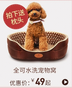 Pet beauty tóc bột ép lạnh dầu dừa dog teddy vàng tóc mèo lecithin rong biển bột vỗ béo dinh dưỡng và sản phẩm sức khỏe