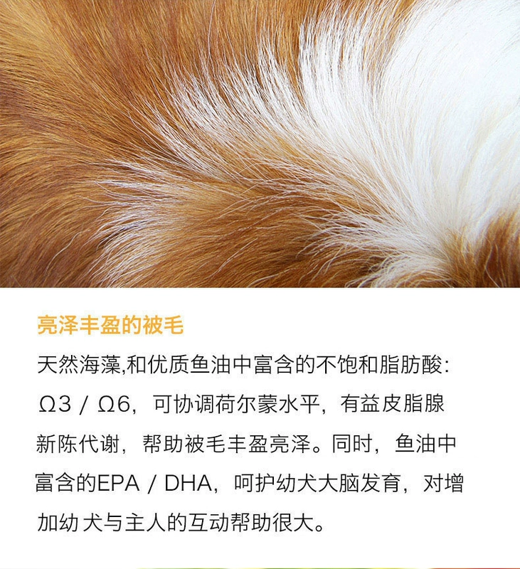 Rượu thức ăn cho chó thức ăn tự nhiên cho thú cưng Bomei Teddy Poodle puppy nhỏ chó con chó con thực phẩm nguyên chất thức ăn chủ yếu 3kg royal canin cho chó