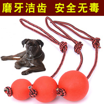 Pet Big Dog Toy Resistant Large Dog Grindle Elastic Real Heart Ball Puppy Teddy Gold Maoma Dog Training Ball