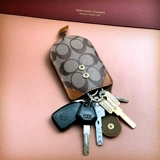 Горный чай подходит для мужчин и женщин, универсальная ключница, кожаная сумка, ключи от машины, сумка-органайзер, брелок, дистанционное управление