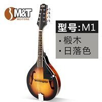 Nhạc cụ cao cấp đàn mandolin đàn piano đích thực m1 nhạc cụ vẻ đẹp phương tây mandolin đàn mandolin người Tây Tạng - Nhạc cụ phương Tây trống điện