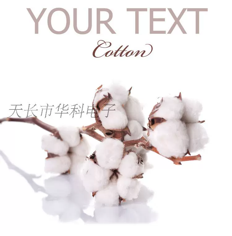 Hộ gia đình nhỏ điện xoay vi khoan nhỏ máy mài điện nhỏ đèn pin để điện nhỏ khoan điện công cụ điện pin lithium