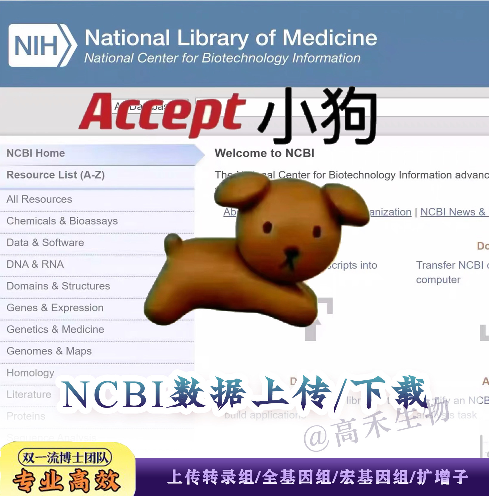 Загрузка данных NCBI SRA/GEO/genbank/bankit gene/транскрипция/метаболизм/ампликон