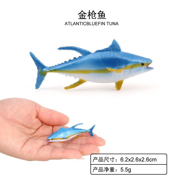 鳐鱼透明骨骼：揭开海洋深处的秘密-标本-淘宝百科网
