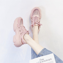 (luxury small fan)summer new mesh breathable hollow daddy shoes 2021 fairy wind ins baotou sandals women