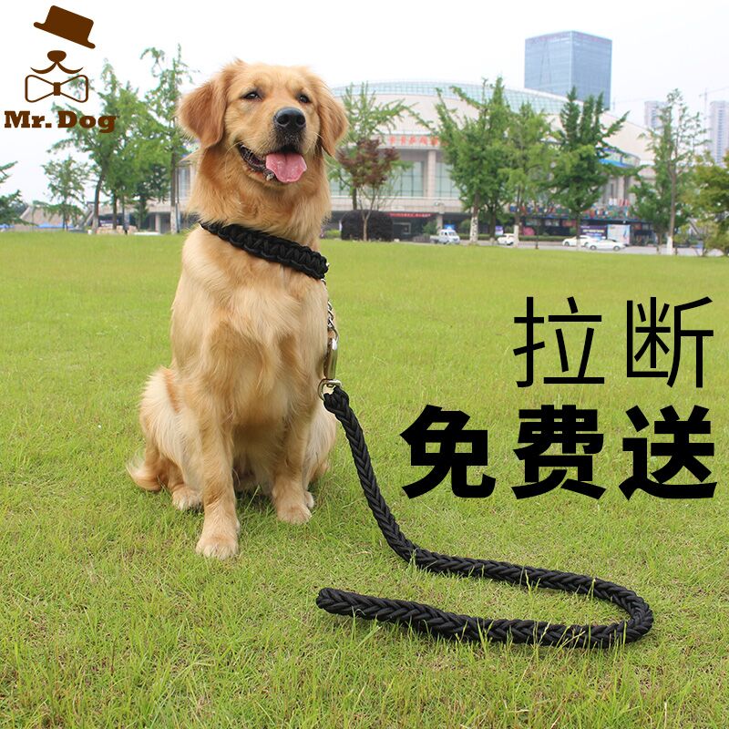 Golden Mulla Brador Dog Link Medium Large Dog Traction Rope Walk Dog Rope P-chain Necklace