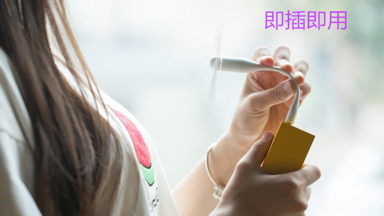 Ventilateur USB - Ref 403347 Image 15