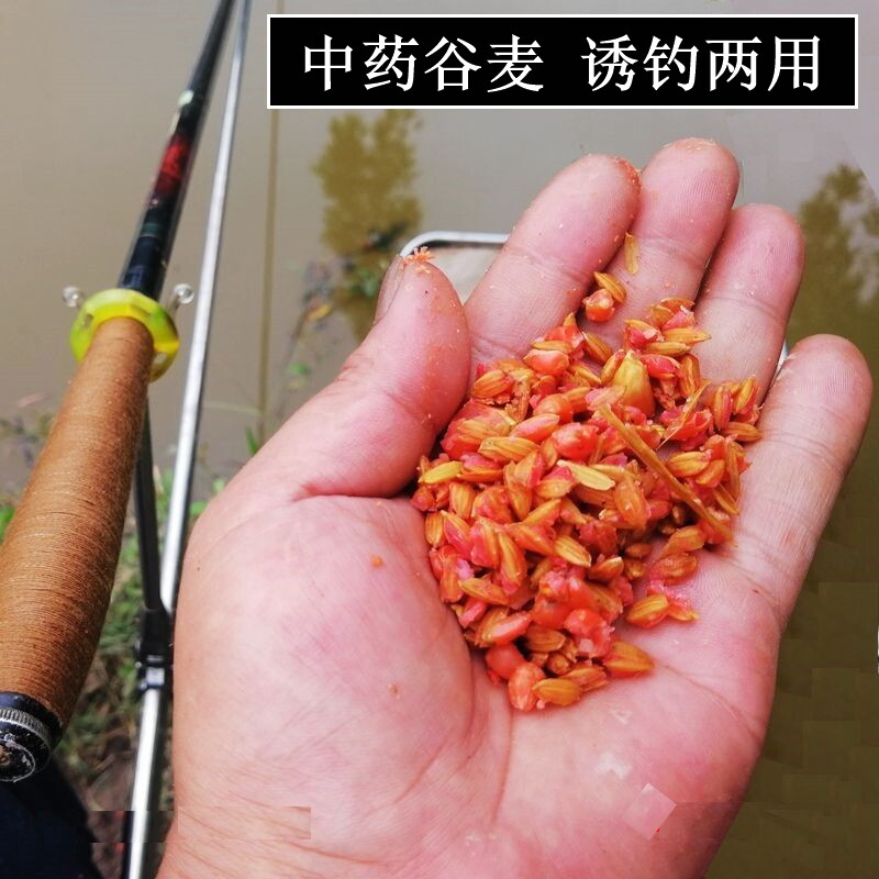 Chongqing Hechuan Chinese medicine grain fishing big bait fishing dual use bait carp bait special price
