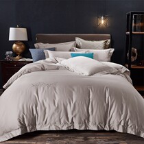 Net red high-grade 60s embroidery simple solid color plush cotton four-piece set Pure cotton plush cotton satin satin quilt cover bed