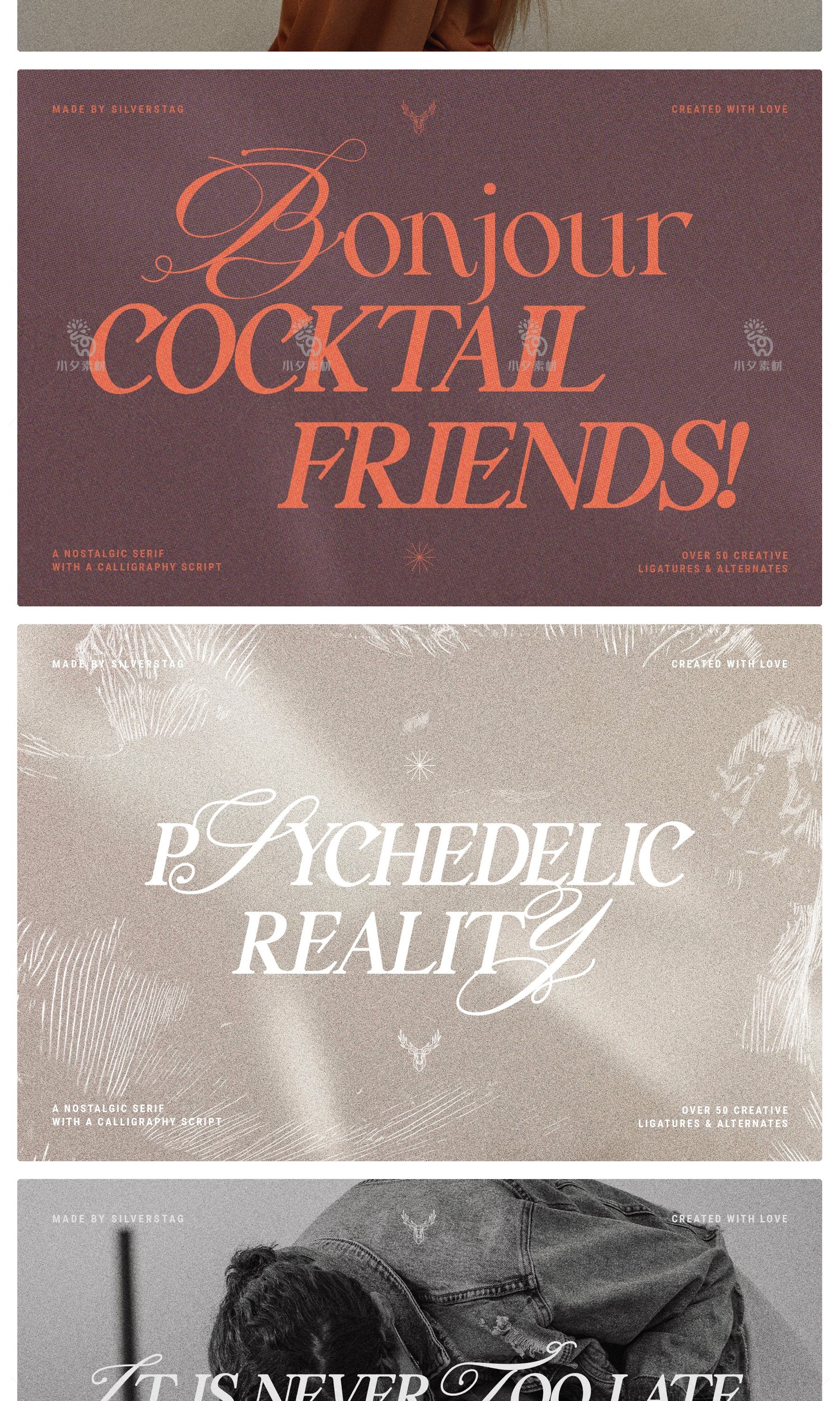 图片[5]-高级优雅欧式英伦花体衬线LOGO海报排版杂志标题英文字体安装包-cg男孩