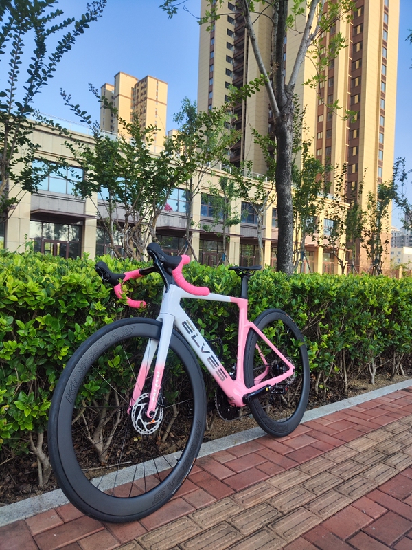 Elf Faras Pro Road Bike Elves Carbon Fiber Pneumatic Road Bike