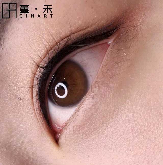 GINART Jinhe semi-permanent imported embroidered color material, eyeliner, special concentrated black giant black bright black powder