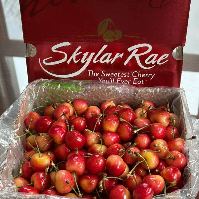 �������������ѡ�����ӣ�����Ʒ�ƺ͹���ʶ�㿴������