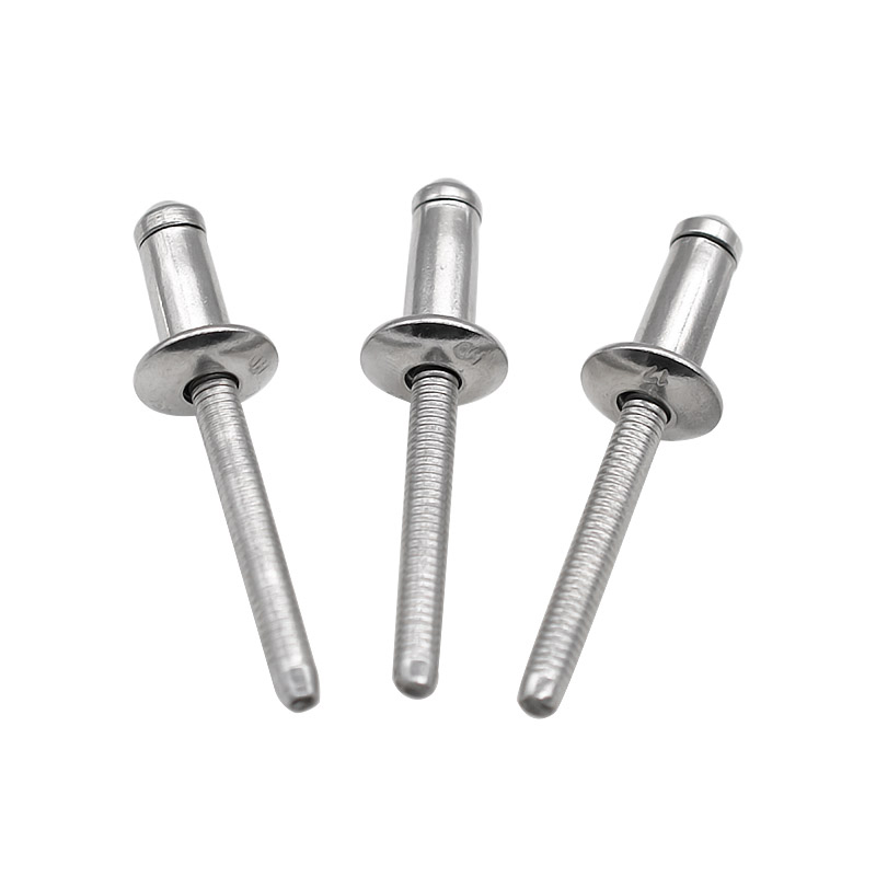 304 stainless steel seahorse nail seahorse Lekrivet 4 8 6 4 Benz BMW car beam special rivet-Taobao