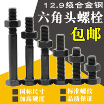 Class 12 9 Hexagon Screw Nut Set M6M8M10M12M14M16 High Strength Hexagon Bolt Nut