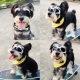 Ветрозащитные солнцезащитные очки