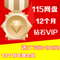 115 Net Disk club annual member 12 months a year member 115 annual fee VIP free 5T permanent space expansion