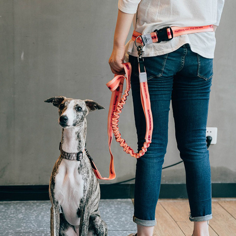 Big dog Explosion-proof leash Multi-function leash Pet leash Outdoor dog chain Pull rope Neck ring Outdoor sports dog rope