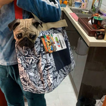 It touchdog pet bag bag dog bag bag bag small dog cat cat shoulder bag