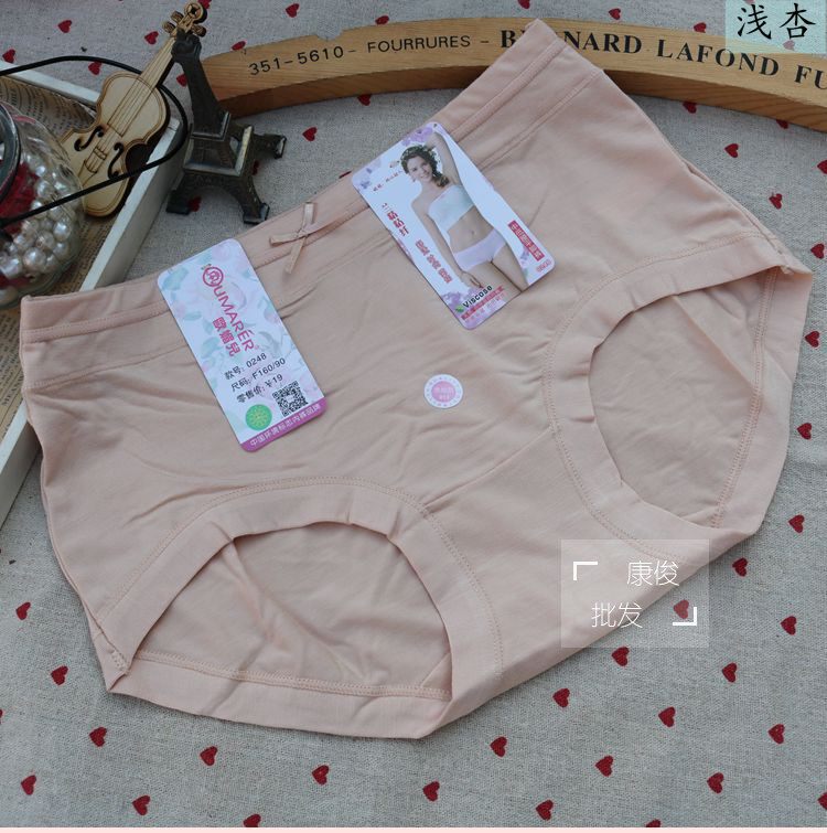 4 new OEML 0248 medium - sized Land fine fiber underwear