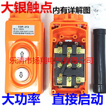 COP-213 Driving switch Direct control crane Crane switch up and down button High power TNHA1-213