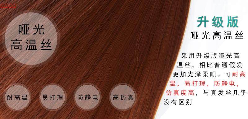 Perruque Long cheveux raides - Ref 2612979 Image 9