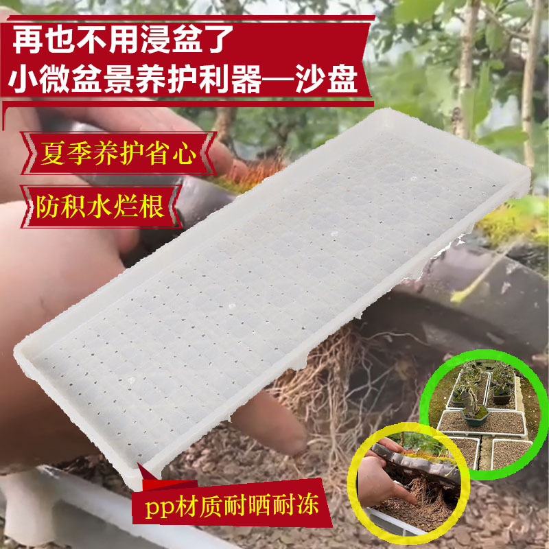 Specialized Maintenance Sand Tray for Micro-Pots and Small Bonsai, Gardening Small Potted Plants, Moisturizing Sand Bed with Breathable Holes to Promote Root Growth Specialized Maintenance Sand Tray for Micro-Pots and Small Bonsai, Gardening Small Potted Plants, Moisturizing Sand Bed with Breathable Holes to Promote Root Growth
