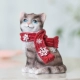 Серый кот
