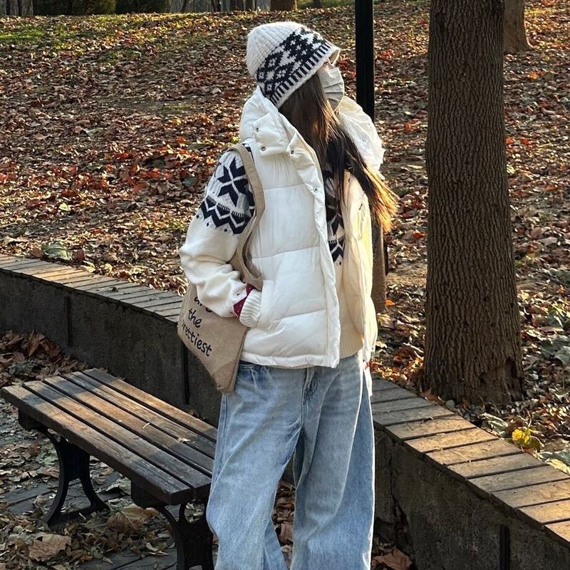 Down Vest 2026 Winter New Style Stand-Up Collar Detachable Hood Short 4-Panel Vest White Duck down Layered Jacket