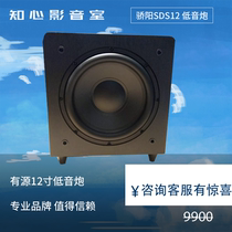 sunfire sds12 home theater dual 12 inch active super subwoofer speaker