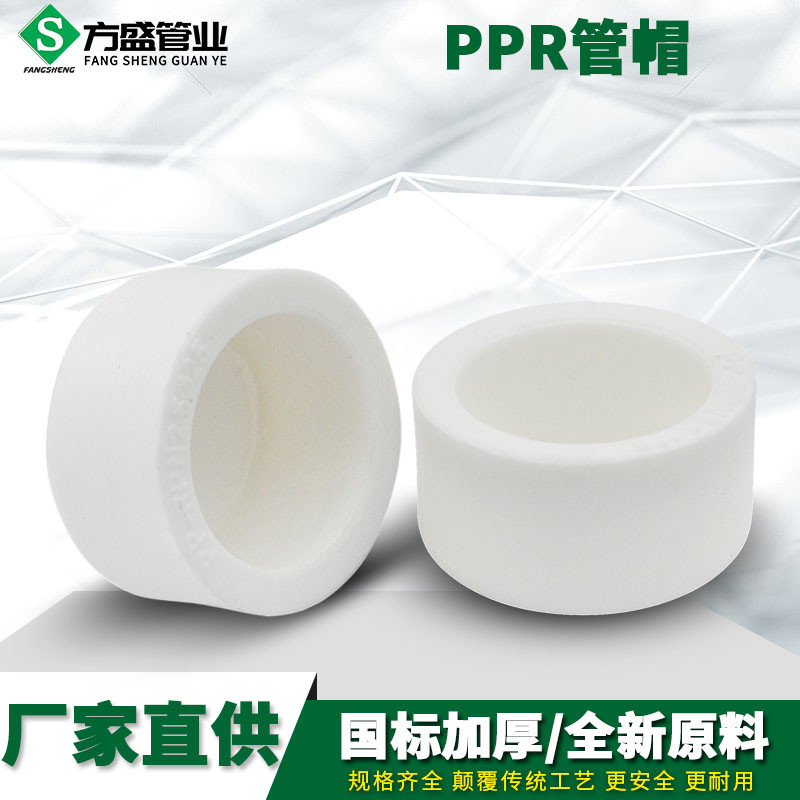 PPR Hose Pipe Cap Trial Pressure Choke Smoldering Choke Plug 20 4 25 6 points 32 1 inch ppr plumbing fittings accessories