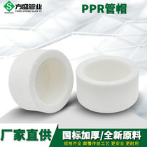 PPR pipe cap pressure test plug 20 4 minutes 25 6 minutes 32 1 inch ppr water pipe fittings