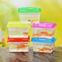 Small fish tank Mini pet rearing box Childrens hand plastic infant tadpole box raising snail box turtle cylinder