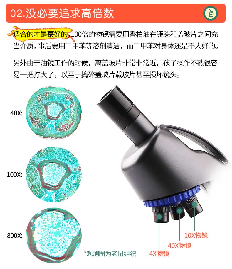 德国 宝视德 bresser 儿童专业显微镜 可连手机 图5