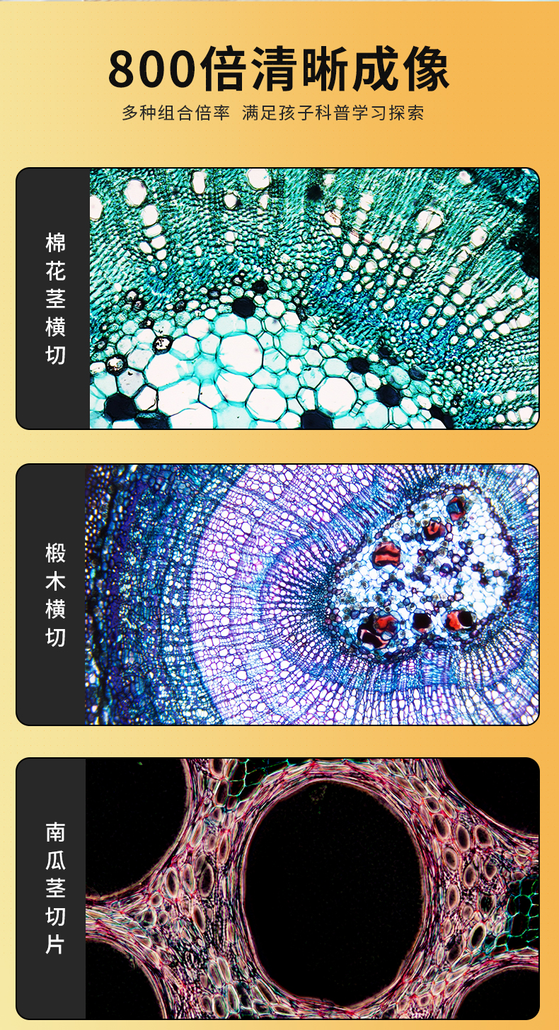 德国 bresser 儿童专业显微镜 可连手机 图8