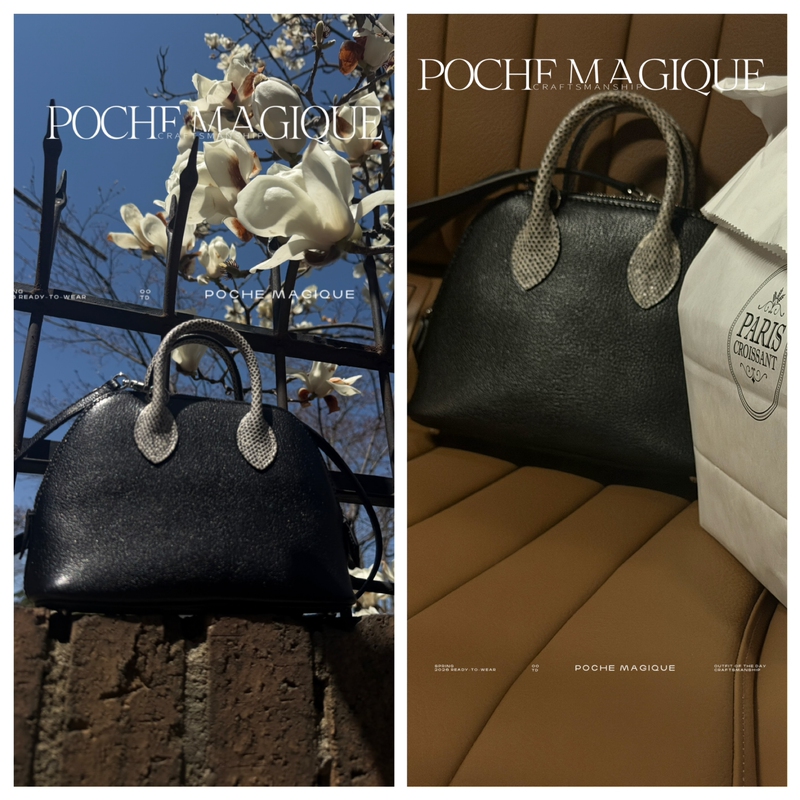 Poche Magique 4/10 Himalaya Hcp Original Lizard Skin Handle Goatskin Shoulder Handbag