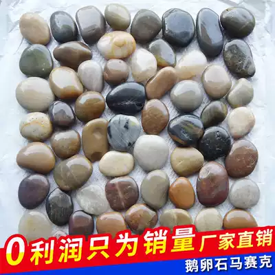 Pebble mosaic high bright fish pond tile rain flower stone wall tile multicolored cultural fossil mesh patch mesh Garden