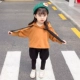 Bộ đồ bé gái xuân 2019 mới phù hợp với 2 chiếc áo len trẻ em nước ngoài hai mảnh 5 mùa xuân và mùa thu 1 bộ quần áo trẻ em 3 tuổi