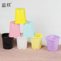 Uncle Pens shop sorrel basin succulent plant thick color Square Deep Basin moon seedling reticle grass hairy tree green Luo Basin