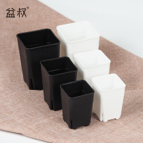 Xinfang Vientiane Basin Japanese Vientiane Bonsai Tianpan Twelve Roll Stone Flower Pot Side Open Breathable Pot Shop