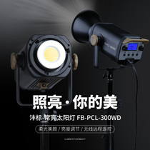 Fengbiao FB-PCL-300WD регулируемая цветовая температура для фотосъемки светодиодный светильник всегда включенный солнечный свет заполняющий свет для живого видео мощный мягкий свет красота регулируемая яркость освещение для кино и телевидения