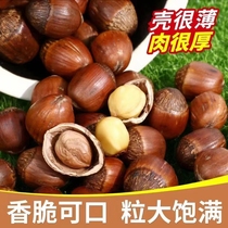Changbai Mountain Hazelnut Northeastern Wild Hand-Packed Hazelnut Fried without Sugar