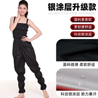 Версия обновления серебряного покрытия (без внутренней сети)