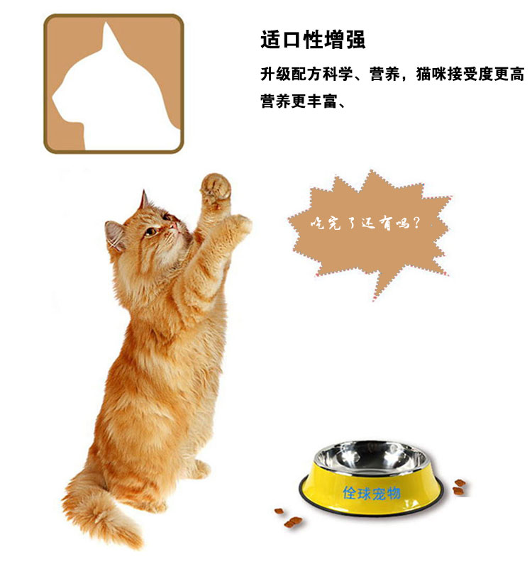 夕 林 素 cat Mèo trong nhà nói chung thịt bò 2,5kg thức ăn chủ yếu cho mèo thức ăn cho mèo me-o có tốt không