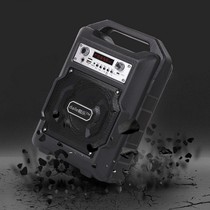 Dailo S20 stall promotion audio Square dance audio outdoor anti-drop wear-resistant high-power subwoofer rainproof